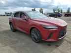 2025 LEXUS Rx