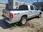2005 DODGE Dakota