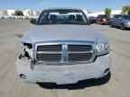 2007 DODGE Dakota