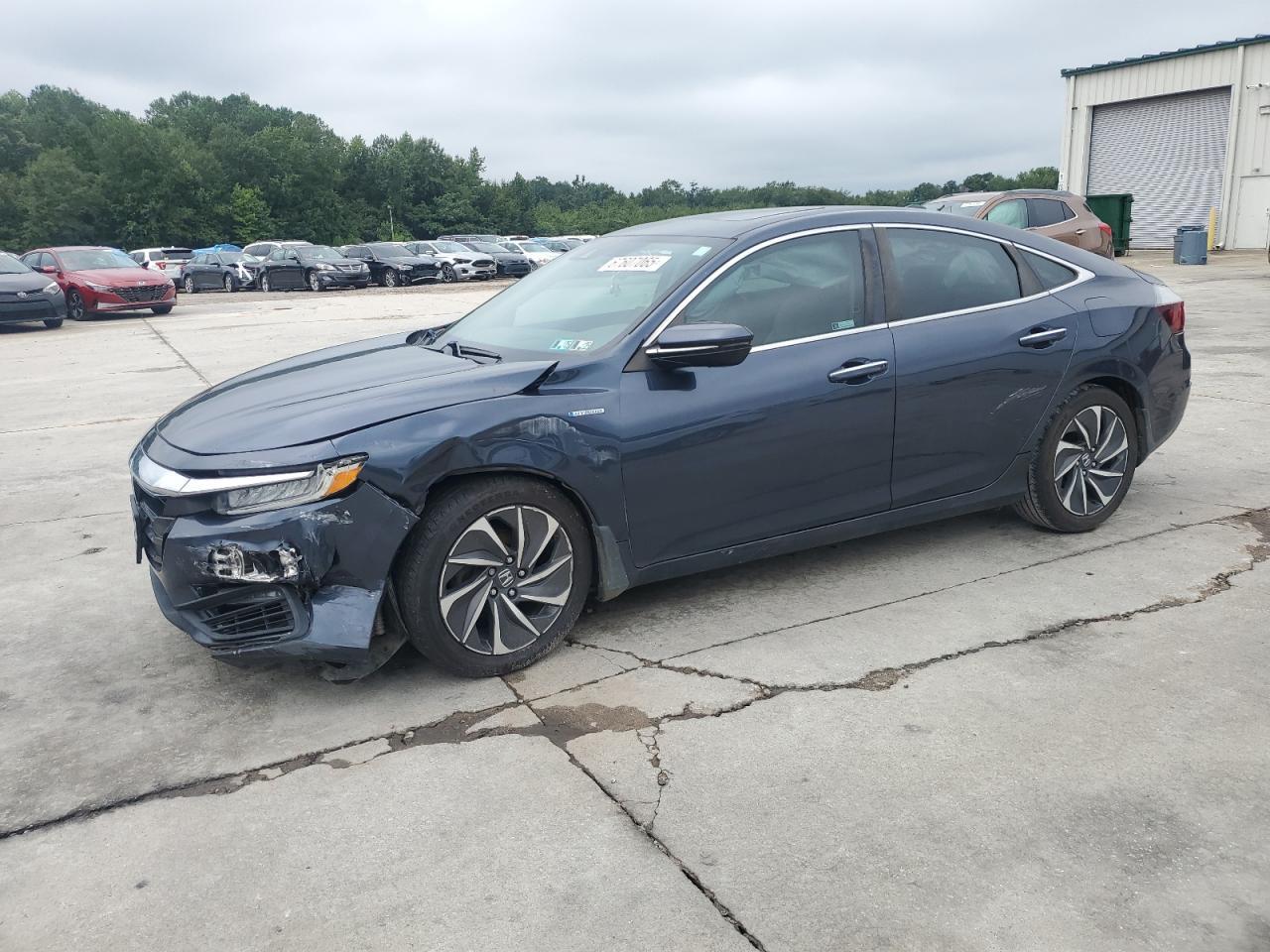 2019 HONDA Insight
