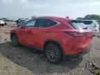 2025 LEXUS NX 350