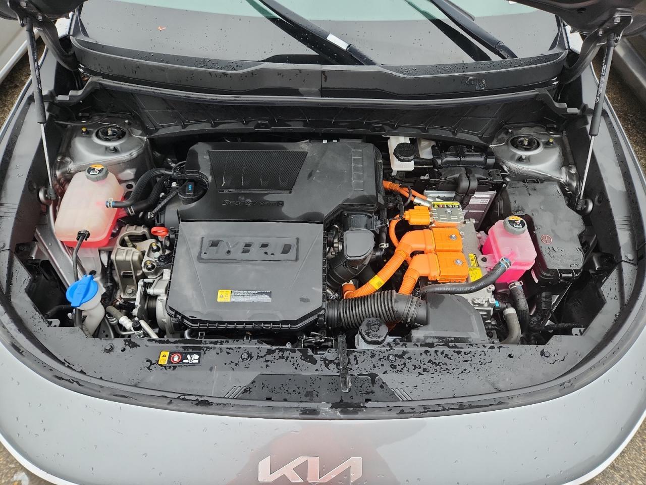 2023 KIA Niro