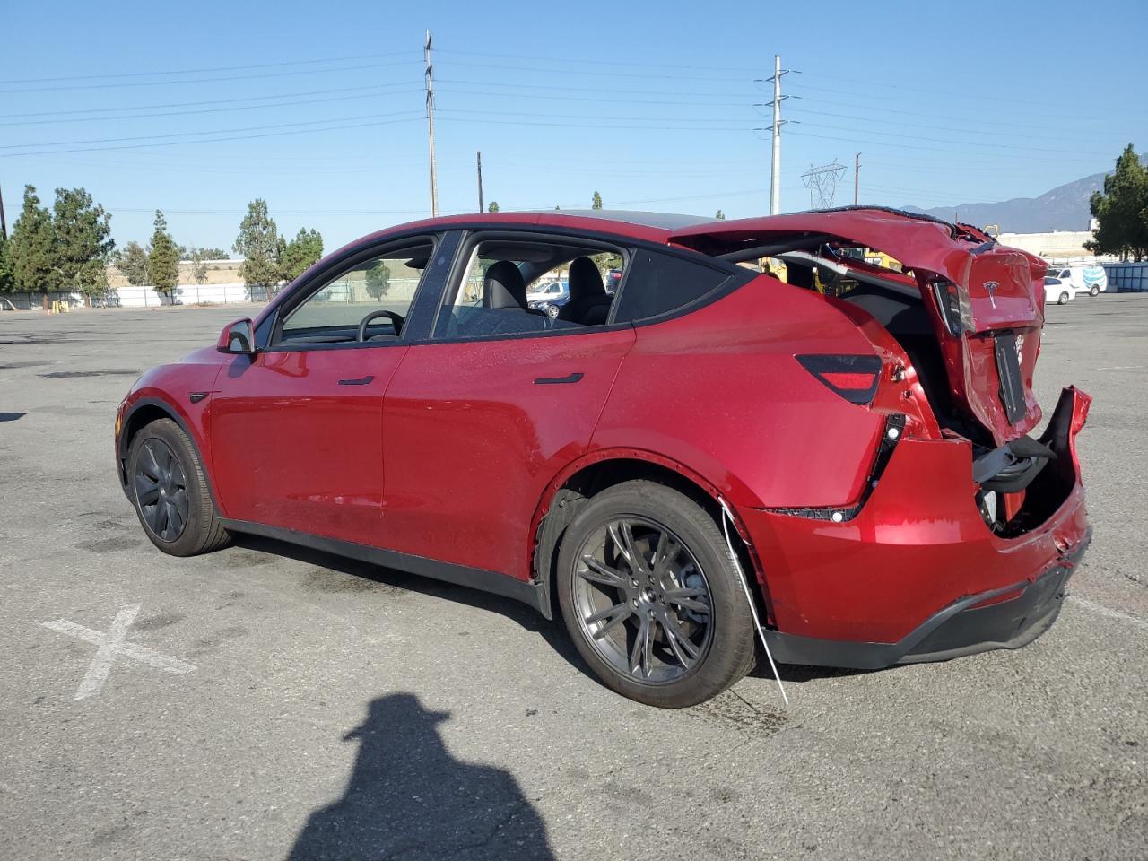 2025 TESLA MODEL Y