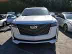 2023 CADILLAC ESCALADE
