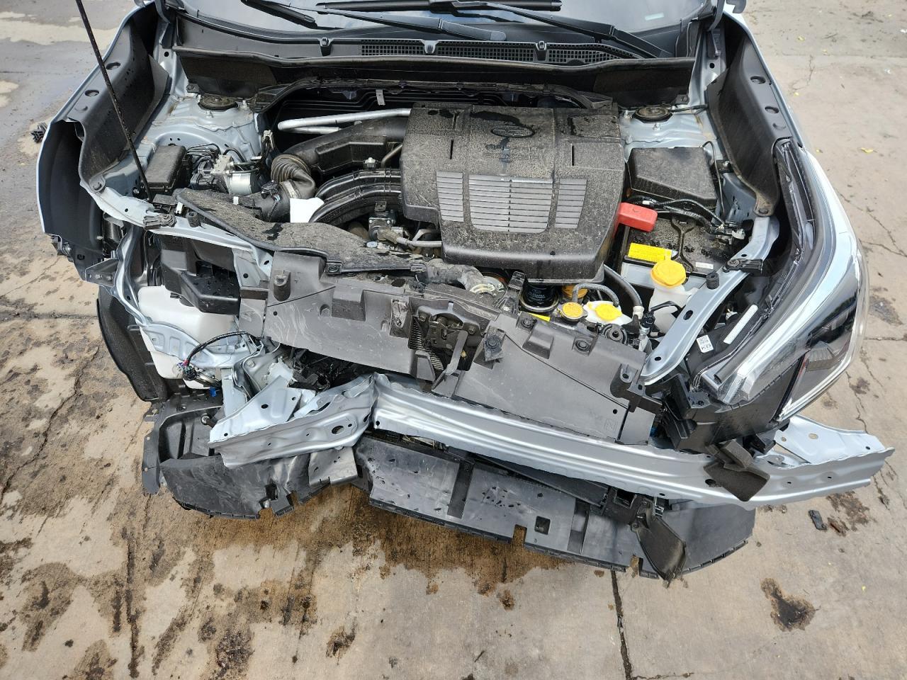 2024 SUBARU FORESTER