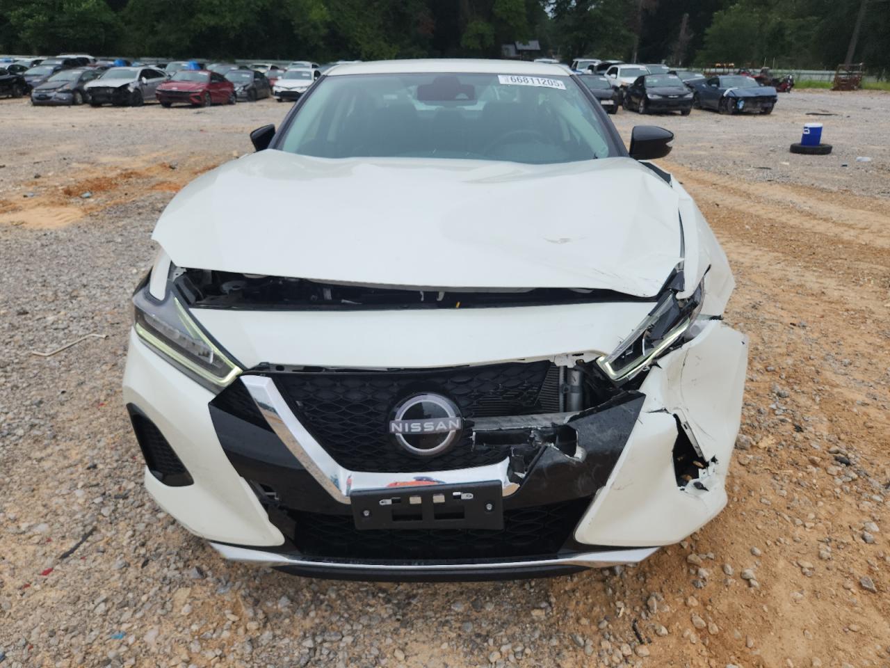 2023 NISSAN Maxima