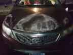 2013 KIA SORENTO