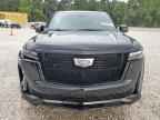 2024 CADILLAC ESCALADE