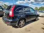 2010 HONDA CR-V