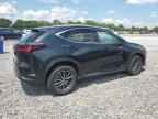 2025 LEXUS NX 350