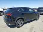 2021 LEXUS Nx