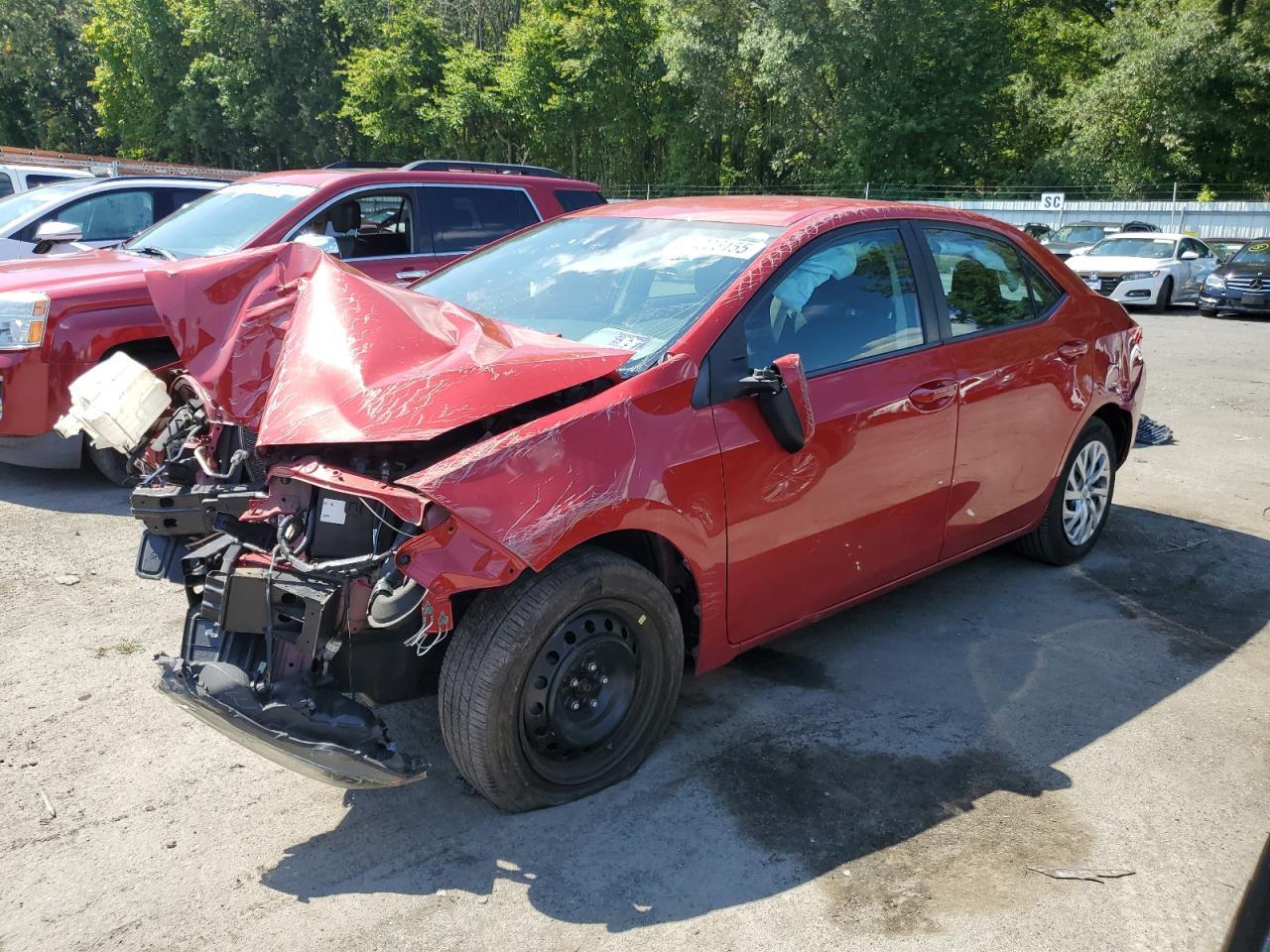 2019 TOYOTA COROLLA