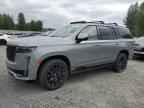 2024 CADILLAC ESCALADE