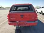 2005 DODGE Dakota