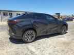 2023 LEXUS Rz