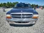 2003 DODGE Dakota