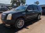2009 CADILLAC ESCALADE