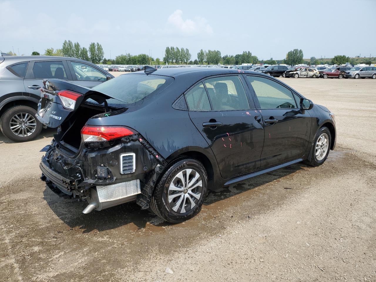 2023 TOYOTA COROLLA