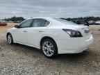 2013 NISSAN Maxima