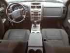 2010 FORD ESCAPE