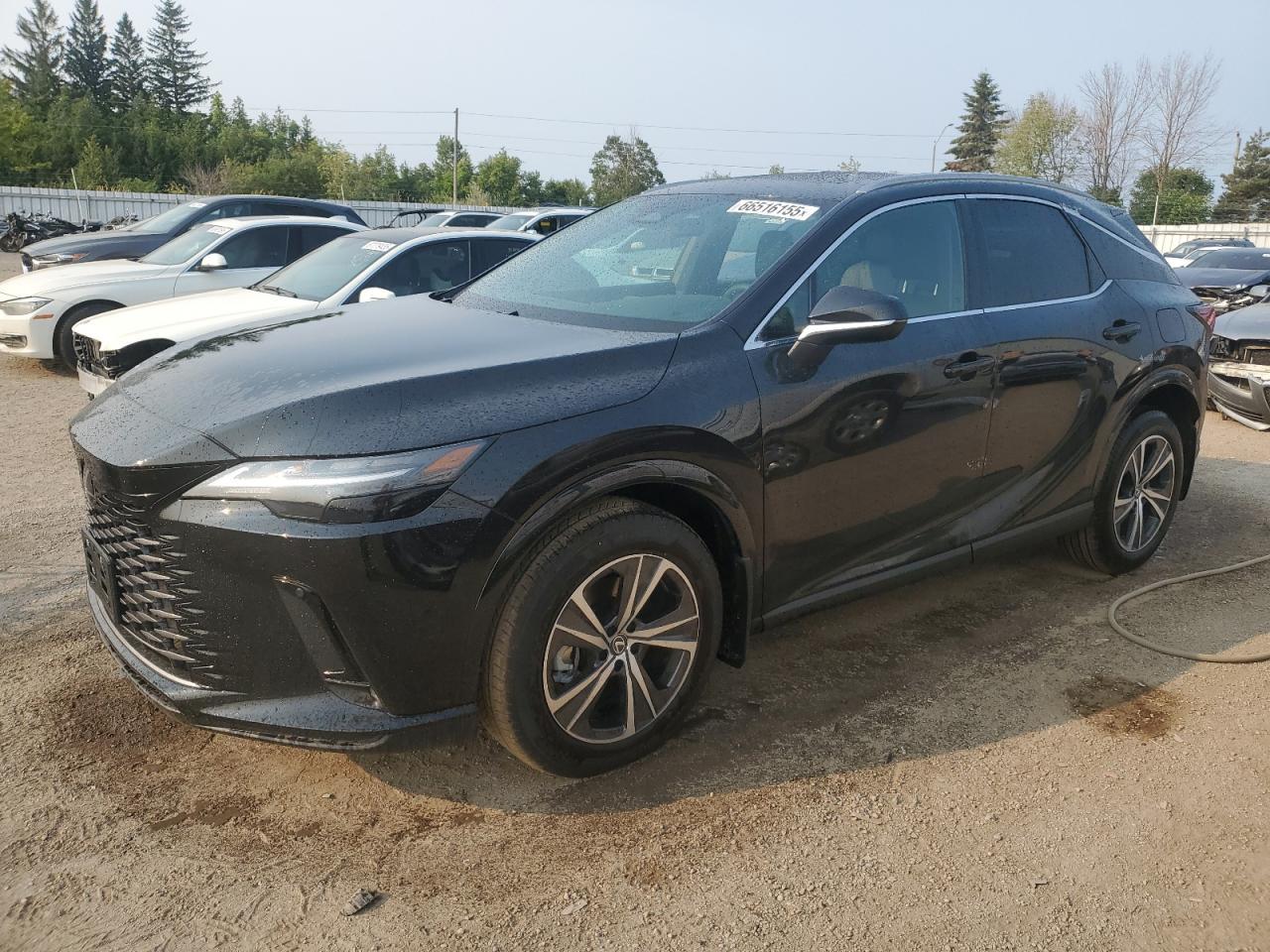 2025 LEXUS RX 350