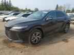 2025 LEXUS RX 350