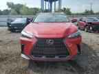 2025 LEXUS NX 350