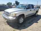 2005 DODGE Dakota