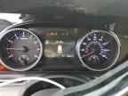 2024 KIA Carnival