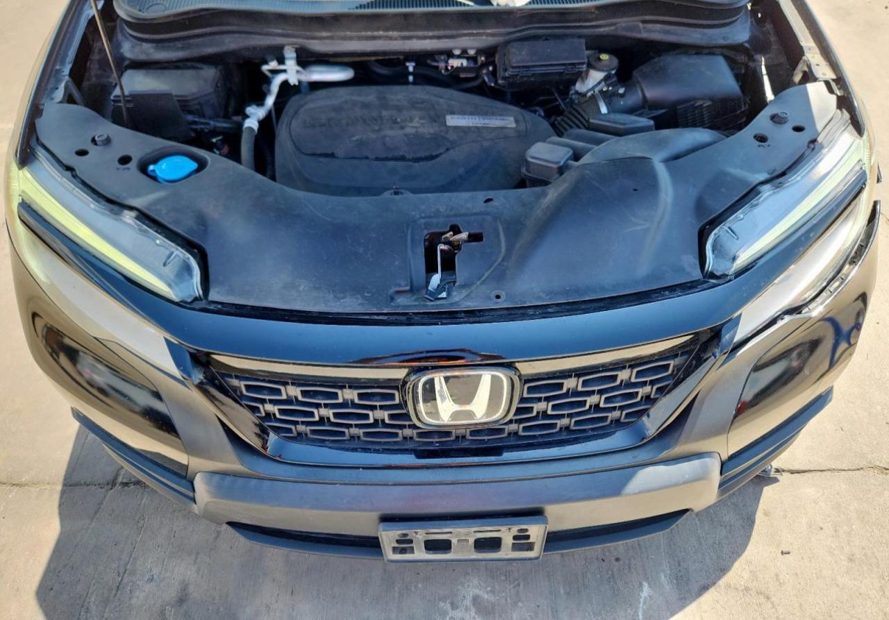 2019 HONDA Passport
