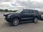 2015 CADILLAC ESCALADE