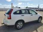 2010 HONDA CR-V