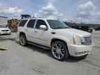 2008 CADILLAC ESCALADE