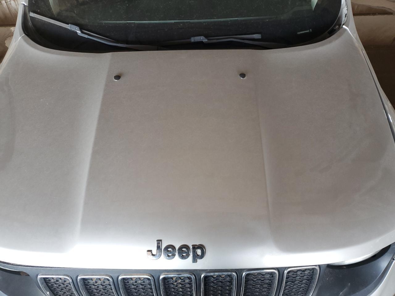2019 JEEP Renegade