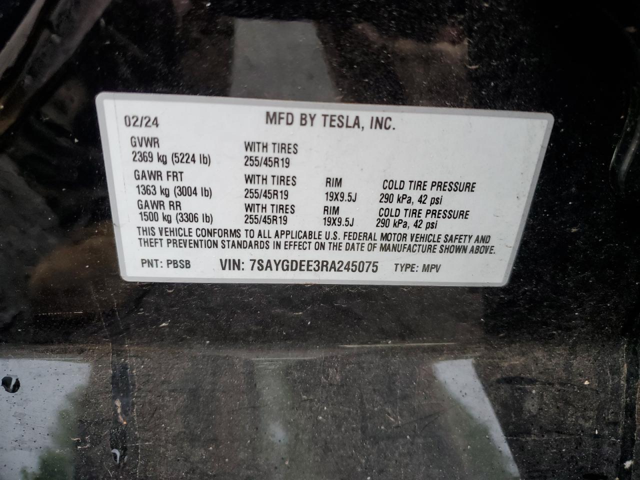 2024 TESLA MODEL Y