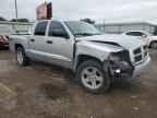 2007 DODGE Dakota