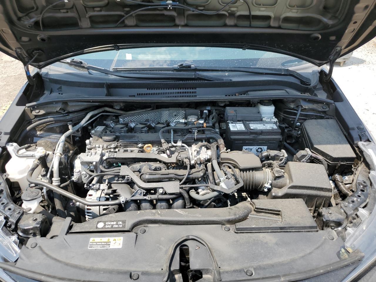2023 TOYOTA COROLLA