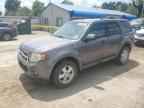 2010 FORD ESCAPE