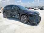 2025 LEXUS Rx
