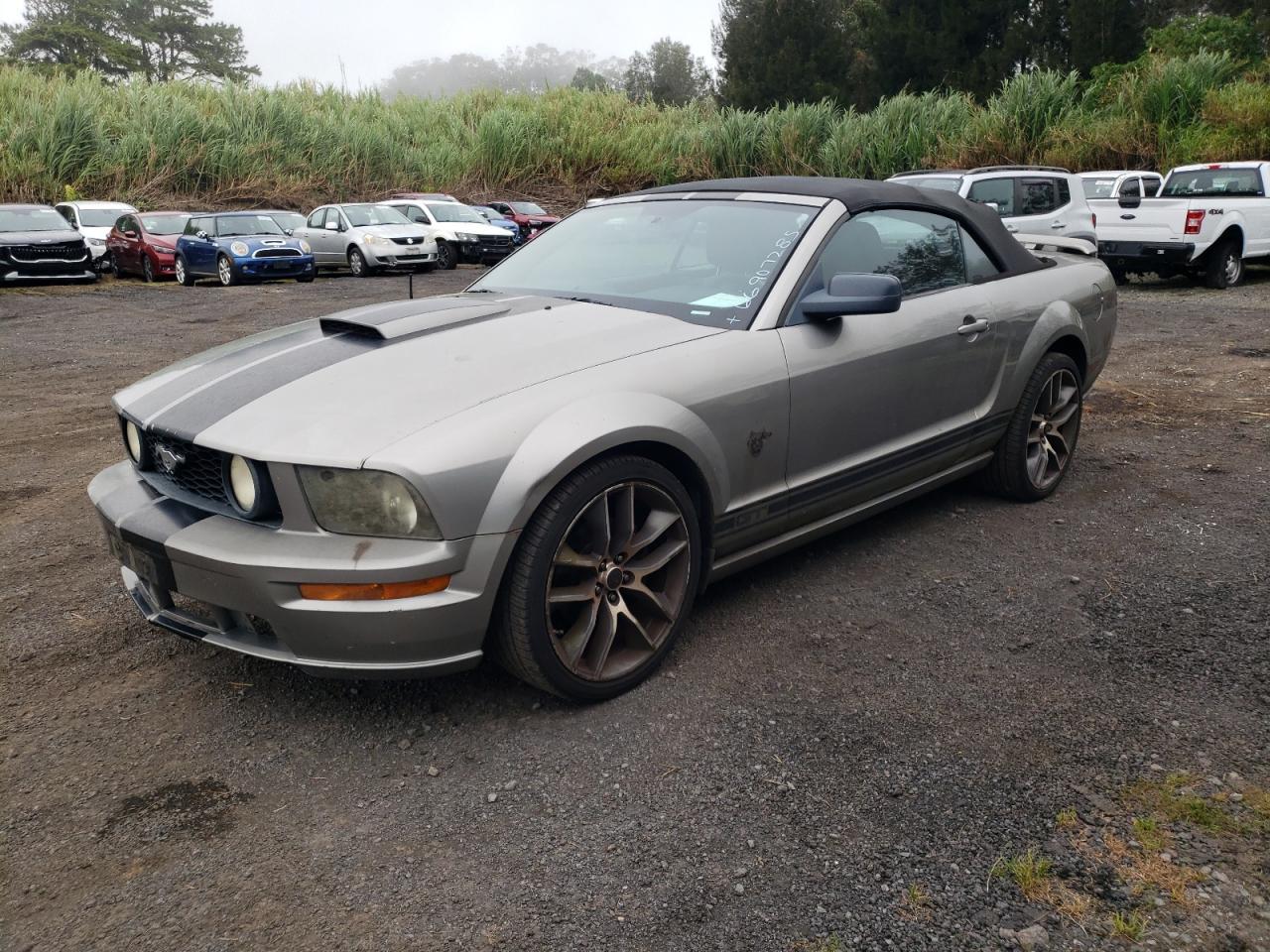 2009 FORD MUSTANG