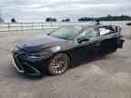 2024 LEXUS Es