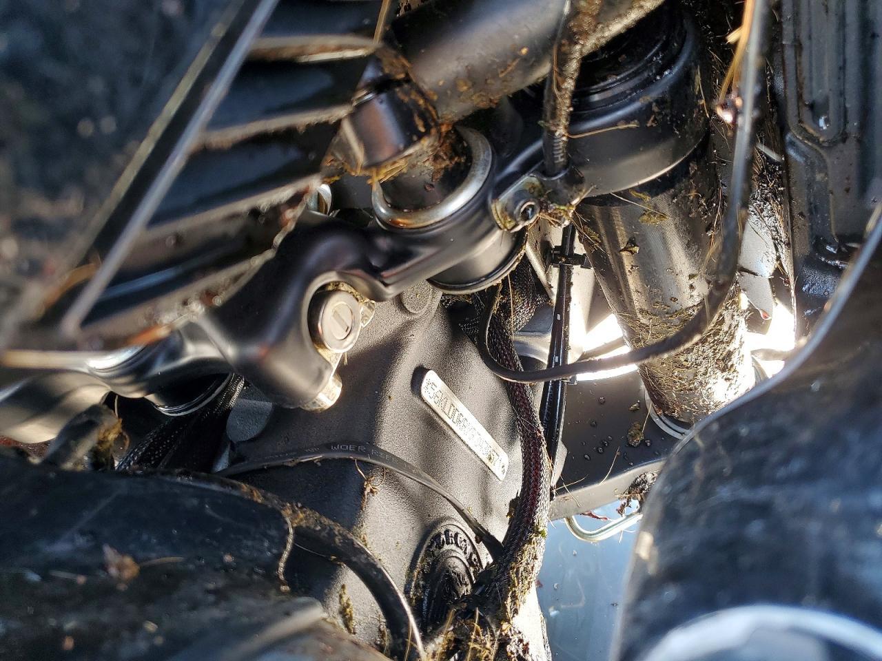 2024 INDIAN MOTORCYCLE CO. Pursuit