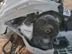 2021 Ski Snowmobile