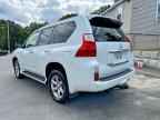 2013 LEXUS GX 460
