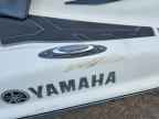 2020 Yam Vx