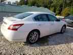 2010 NISSAN Maxima