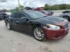 2011 NISSAN Maxima