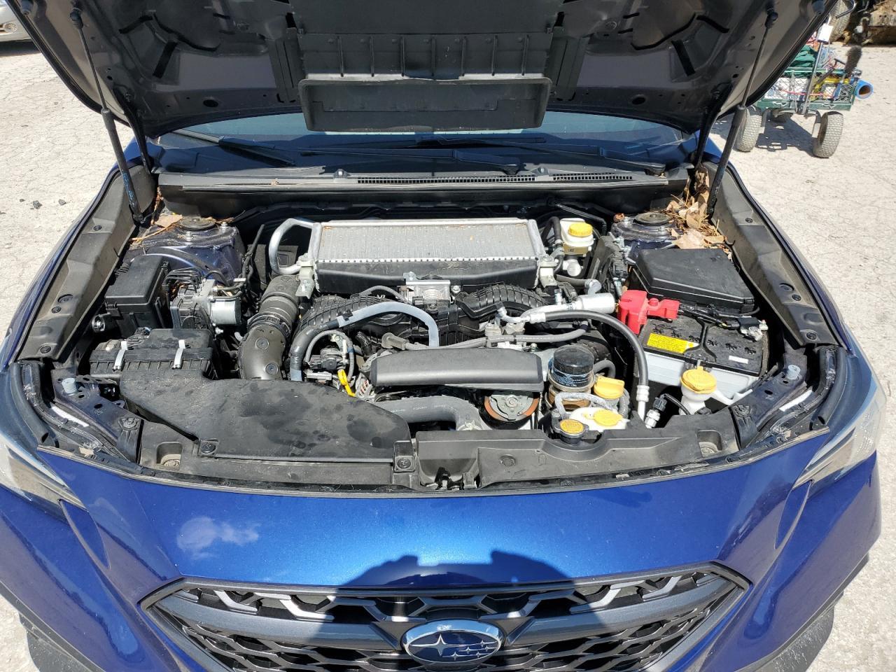 2023 SUBARU WRX