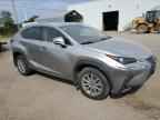 2021 LEXUS Nx