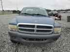 2004 DODGE Dakota